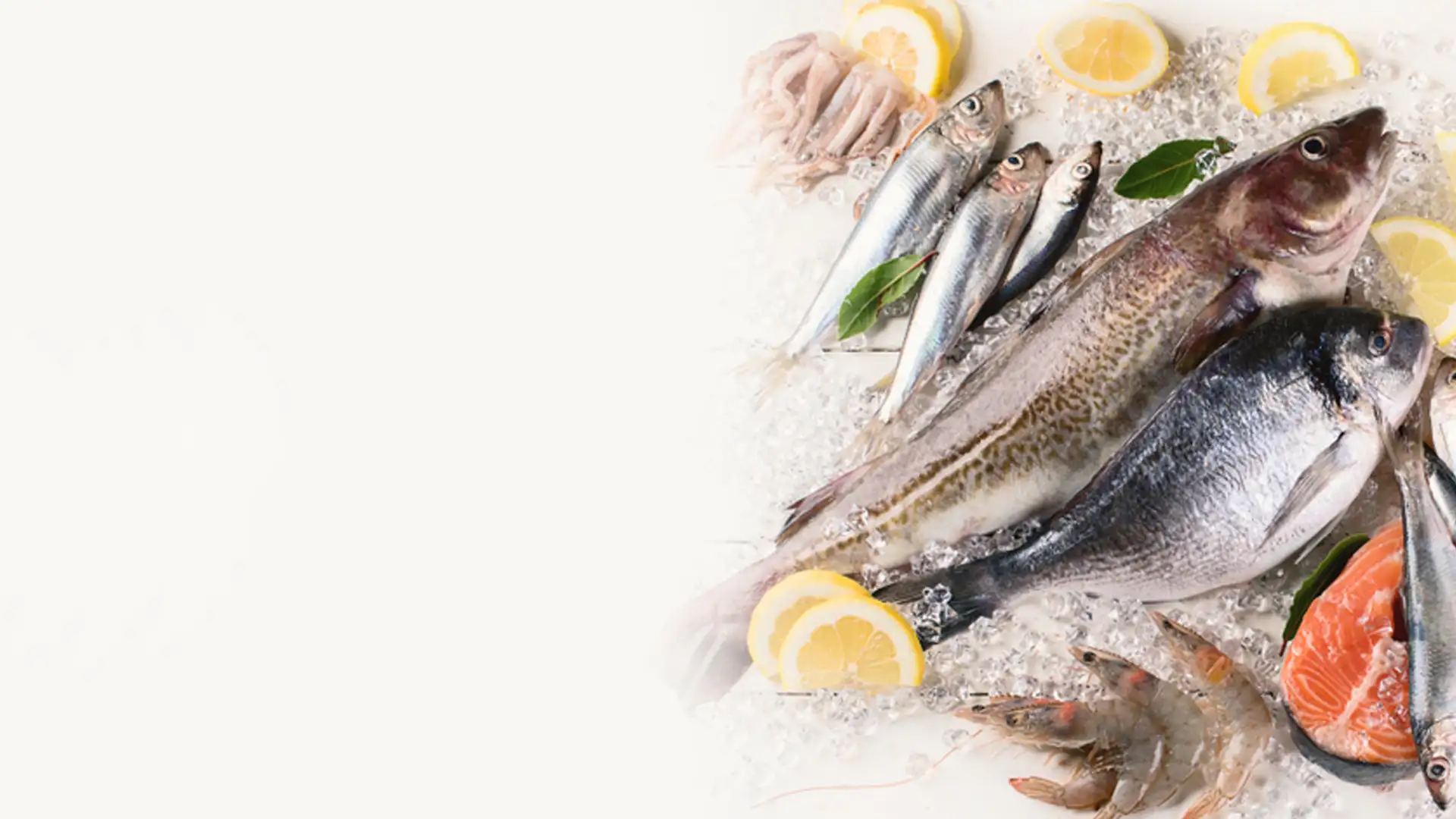 Fresh from the Ocean – Delivered to Your Doorstep